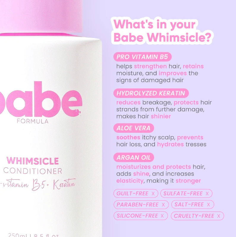 Babe Formula Whimsicle Shampoo and Conditioner - 250ml